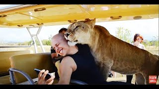 ВАУ !!! Львица Лола выбрала себе мужчин для фото-сессии :)) ВАУ !!! Львица Лола выбрала себе мужчин для фото-сессии :))
