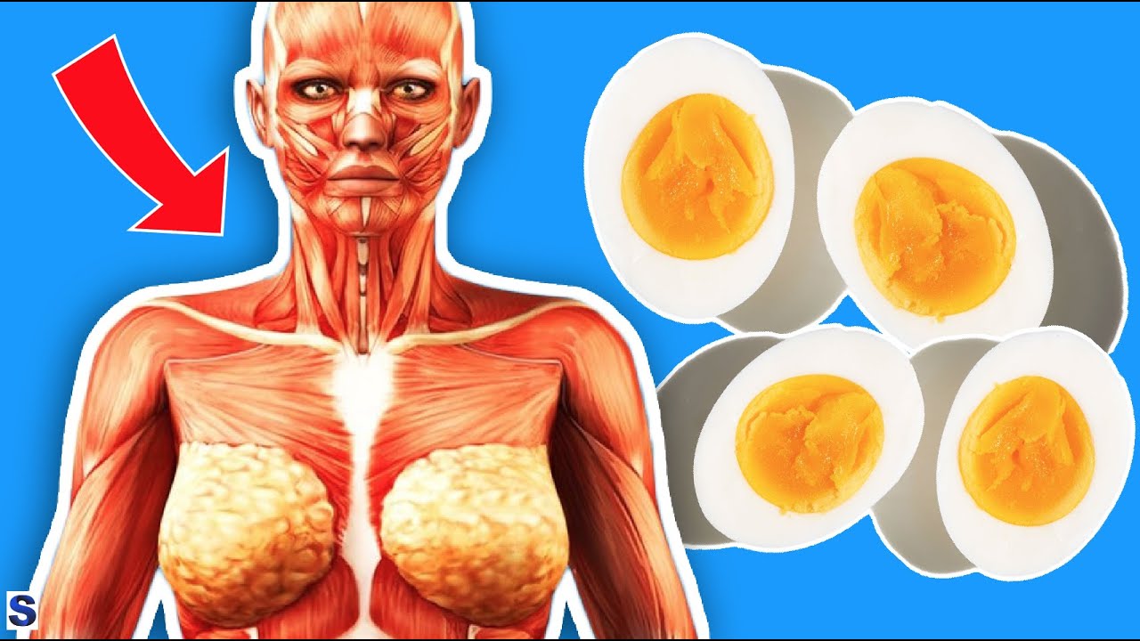 Is Eating Eggs Everyday Bad For Your Body? YouTube