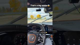 My car can stay there😨‼️ #shortvideo #shortsvideo #shorts #short