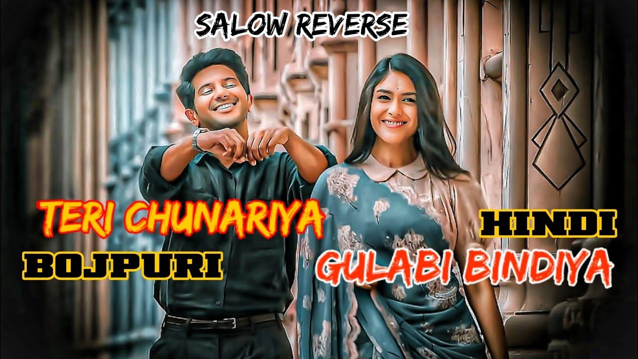 Teri Chunariya V/S Gulabi Bindiya | Bhojpuri × Hindi Mix | Slow Reverse Remix 2025 | Romantic Song