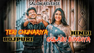 Teri Chunariya Vs Gulabi Bindiya Bhojpuri Hindi Mix Slow Reverse Remix 2025 Romantic Song