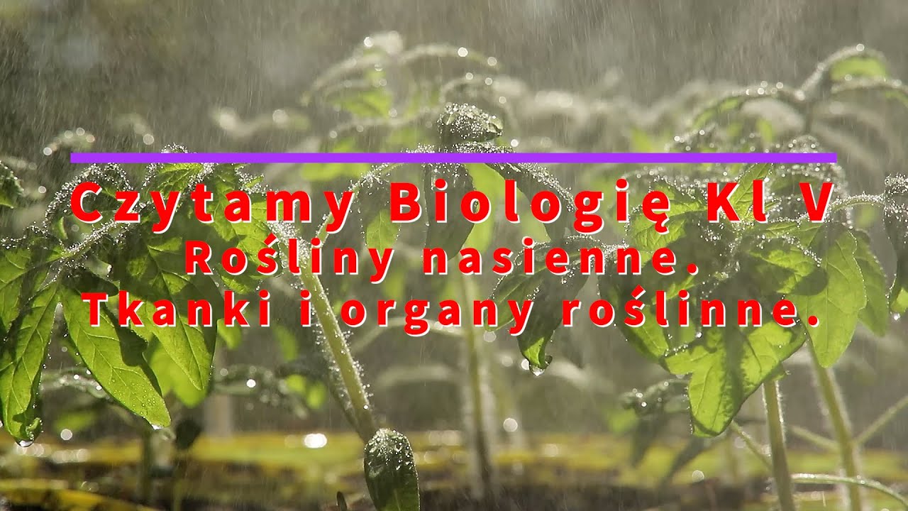Sprawdzian Z Przyrody Klasa 5 Rośliny Nasienne Czytamy - Biologia Klasa 5 "Rośliny nasienne. Tkanki i organy roślinne