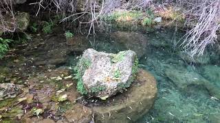 Sendero Cascada de La Osera (Parque Natural Cazorla, Segura y LAS VILLAS)
