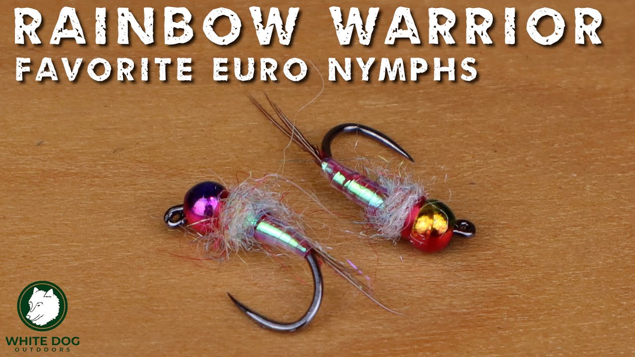 Rainbow Warrior Euro Nymph - Favorite Euro Nymphs - Fly Tying