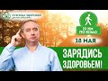 Полумарафон здоровья доктора Шишонина 💪 Приглашение на самую масштабную прогулку по ЮЗАО ❤️