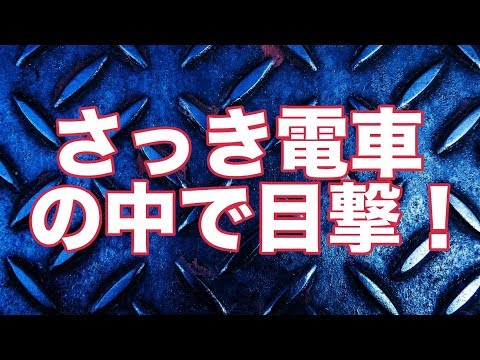 さっき電車の中で目撃！