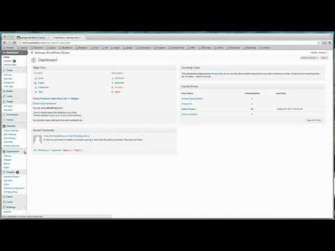 Tutorial on WordPress Homepage Widget