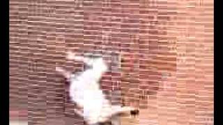Wallspin fail..