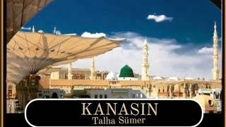 Talha Sümer/Kanasın/Rasulallah aşkıyla kanayanların ilahisi Resimi