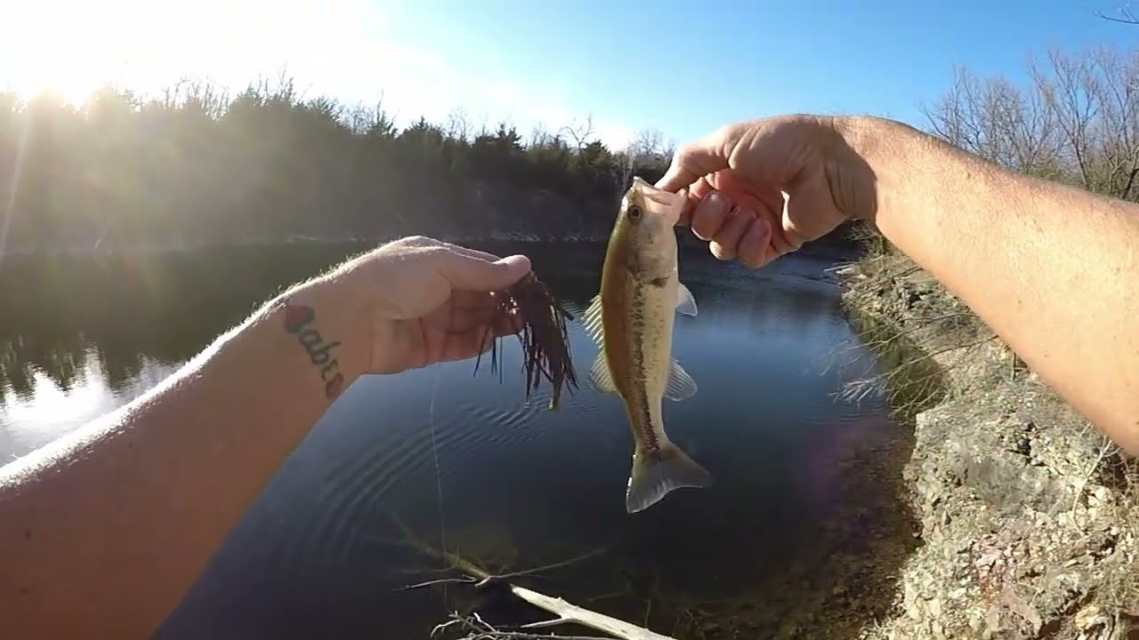 Dobyns 704c Lews Custom Pro bass fishing Combo