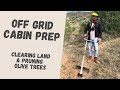Clearing Land to Build an OFF GRID CABIN | Homestead in Spain | V.12