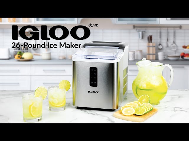Igloo Automatic Self-Cleaning 26-Pound Ice Maker & Reviews