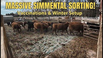 Taking advantage of a Flexible Barn Yard.