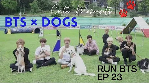 BTS with Dogs 🐶 // Cute Moments of BTS in RUN BTS ep 23[ENG SUB] // BORAHAE BTS
