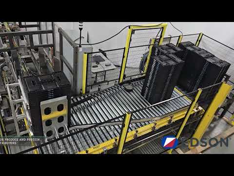 RP 200 & DEPAL VIDEO