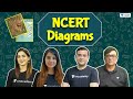 NEET: NCERT Diagrams | Biology | Unacademy NEET | Preetika K. | Seep Pahuja | Pradeep S. | Gagan V.