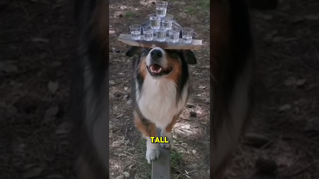 Benefits of Being Receptive