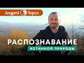 Андрей Тирса. Распознавание истинной природы.  Сатсанг 25 мая 2020. Пробуждение. Просветление.