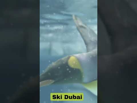 ski dubai ⛷️ | ski dubai snow park ❄️ | #youtubeshorts #dubai #tendingshorts #shorts #skidubai