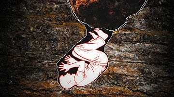 The Most Horrible End Of Cavers | Caving Gone Wrong Compilation