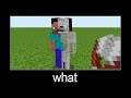 Minecraft wait what meme part 169 (Steve skeleton)