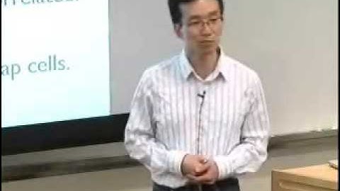 Automatic program analysis for overlaid data structures