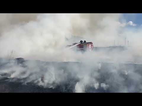 У Переяславі горіло понад два гектари трави: наслідки займання