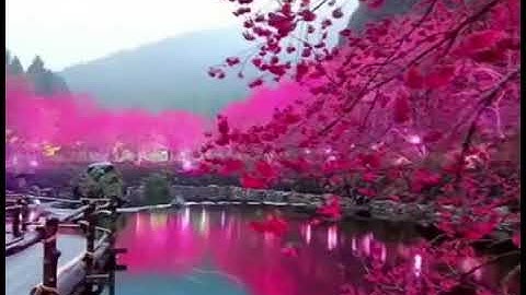 عمير شميم-سورة الحجر❤️