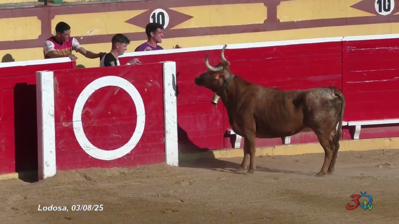 Lodosa, Patronales 2025, Festejo Popular de Tarde, 03-08-2025