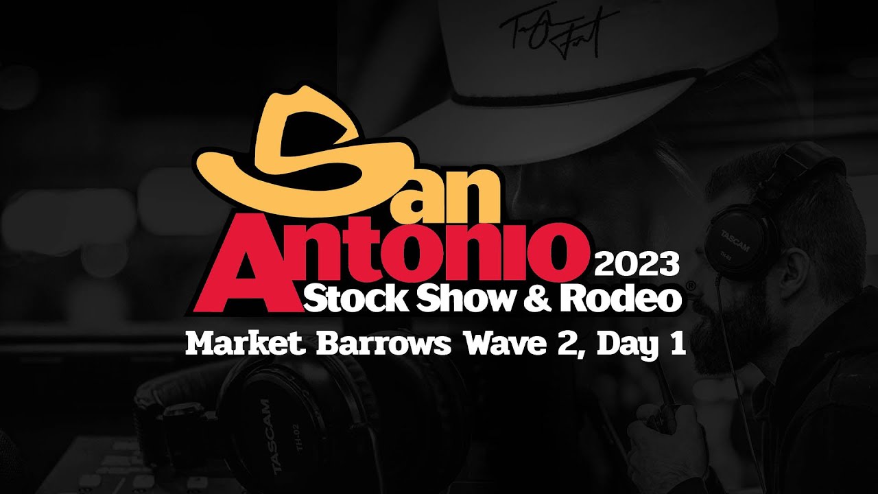 San Antonio Livestock Show 2023 Market Barrow Wave 2 Day 1 YouTube