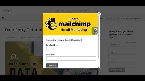 Add MailChimp Signup and Popup Form Into WordPress Website - Lesson 6
