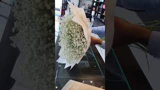 Gypsophila Bouquet Wrapping Display  ..