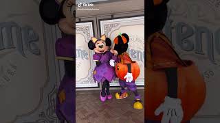 Cute Love Moment Of Mickey And Minnie Mouse At Disneyland Hd