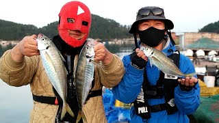 1부 돼지 전갱이 개꿀맛 Jack mackerel