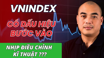 Xu hướng dòng tiền | Vnindex có dấu hiệu bước vào nhịp điều chỉnh kỹ thuật ?
