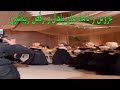عروس و داماد های باحال و رقص زیباشون 