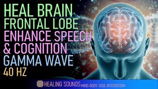 Heal Brain Frontal Lobe | Enhance Your Speech Reasoning & Problem Solving Skills | Gamma Wave | 40HZ screenshot 3