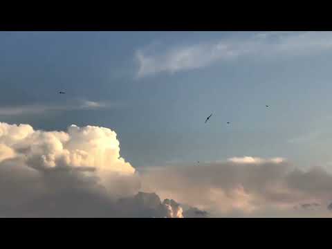 Лето(июнь). Вечернее небо.