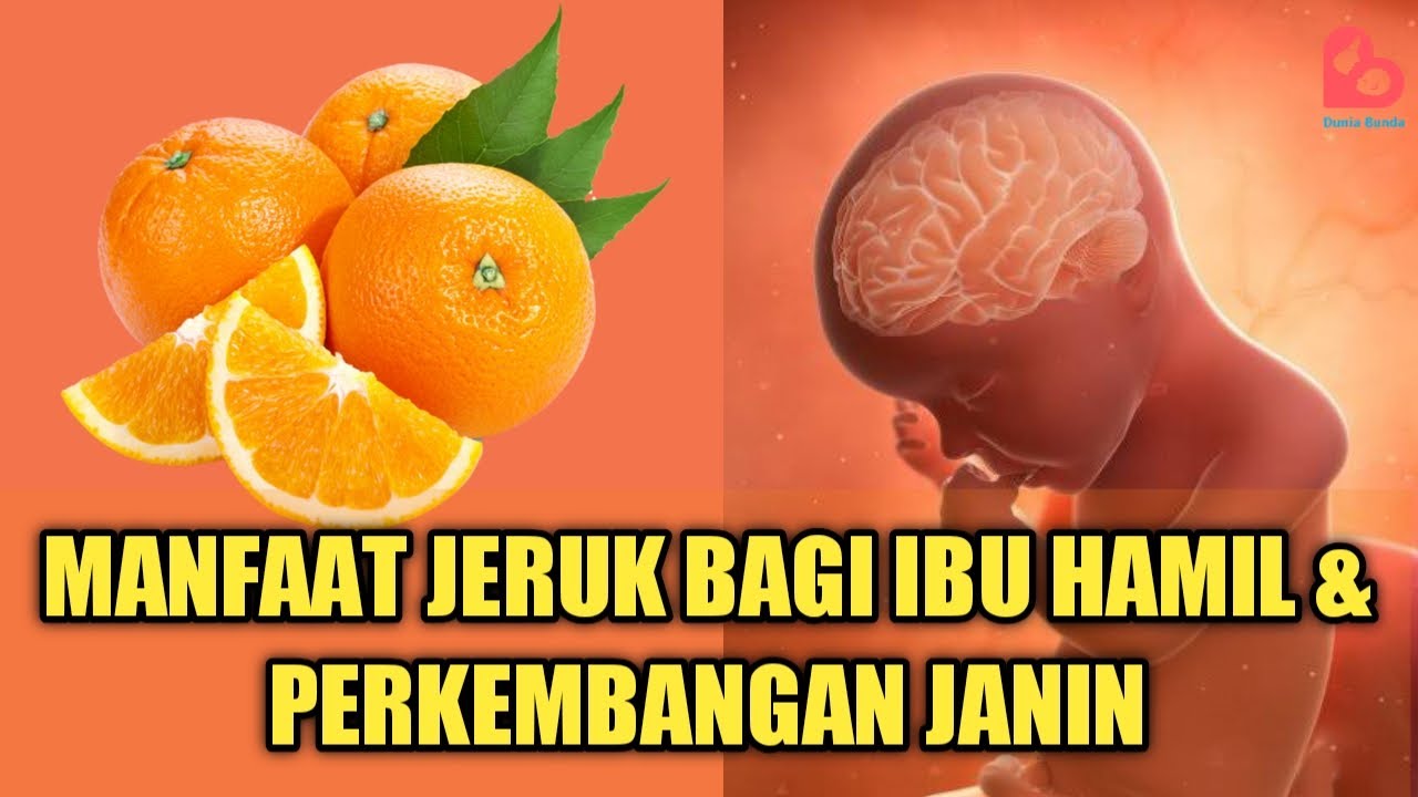 Manfaat Luar Biasa Buah Jeruk untuk Ibu Hamil: Panduan Lengkap