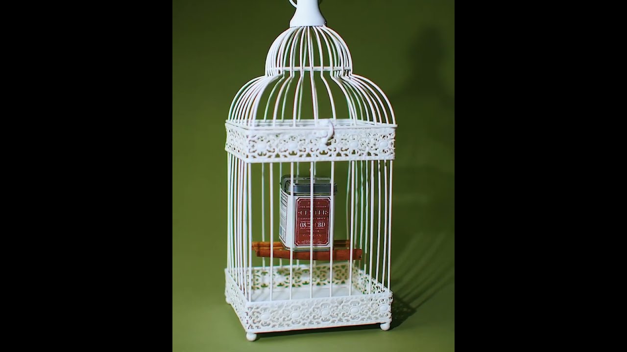 The Hemp Division: Capture the Flavor