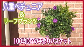 【8月】100均DIY☆ペチュニア・サマーパープルと斑入りオレガノのハンギング！☆手作り容器に植えました！