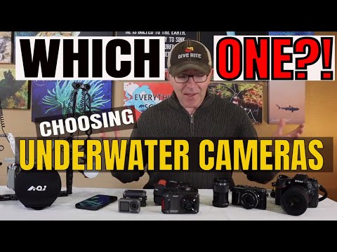 וִידֵאוֹ: מצלמות מתחת למים: מיטב הדגמים הקטנים והגדולים למים. כיצד בוחרים מצלמה לשחייה מתחת למים וטיולים?