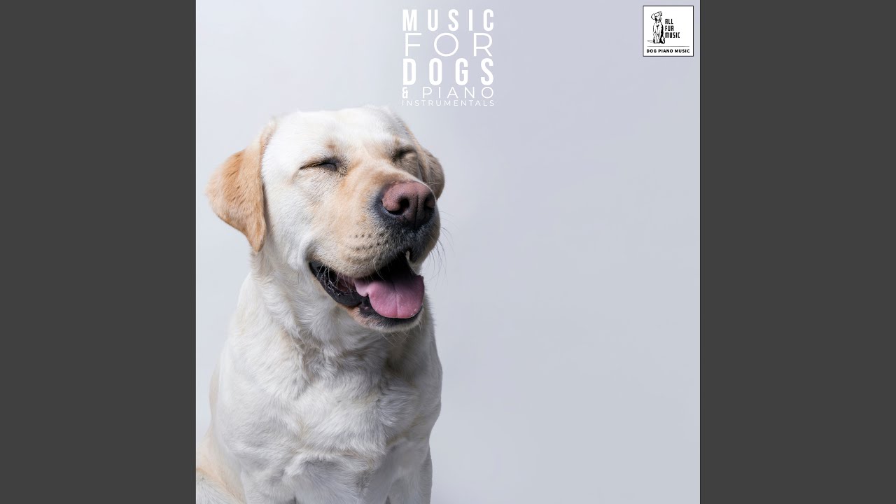 Sad Dog Commercial Music YouTube