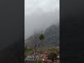 #trending