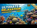 Meditation Sleep Music with Gentle Underwater Sounds for Restful Night Dreams