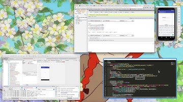 final presentation for cs246