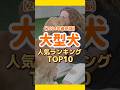 大型犬人気ランキング🏆✨