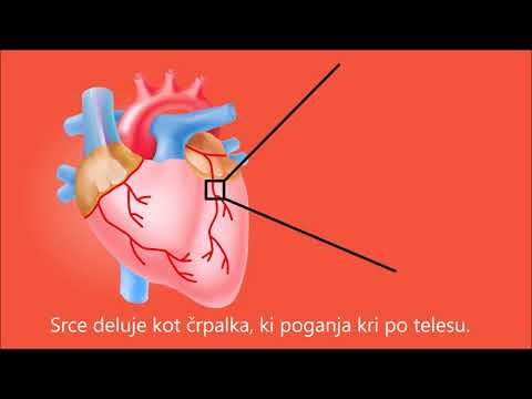 Video: Koronarna Srčna Anatomija, Diagram In Delovanje - Body Maps
