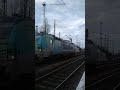 Dongó Laminátka húz egy Kocúrt illetve METRANS Vectron tolat Ferencváros vasútállomáson. #gépmenet