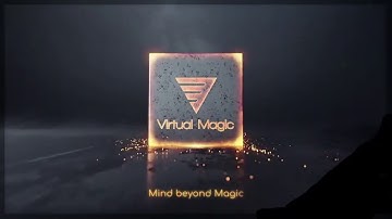 The train and the bird problem One of the most hardest problem ever 2020